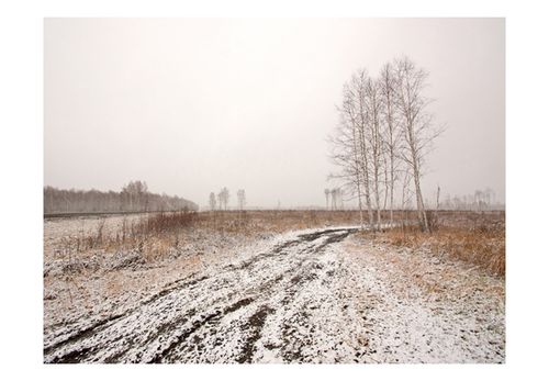 Fototapeta - Winter field 300x231 na Arena.pl