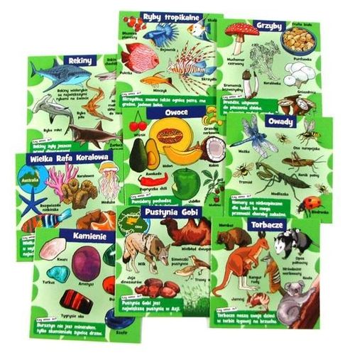 Brainbox - Natura 02183 na Arena.pl