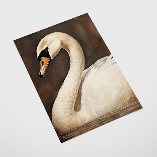 Plakat biały łabędź obraz 40x50 cm na Arena.pl
