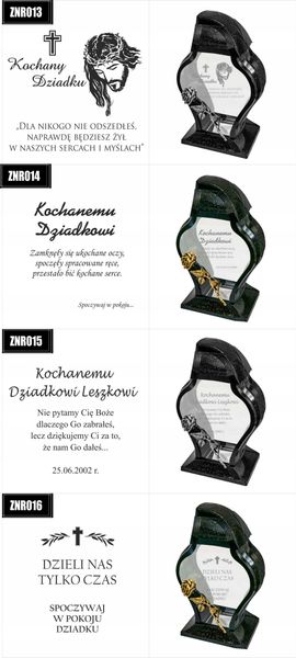 Znicz Faraon ,LL11 zdjęcie 8