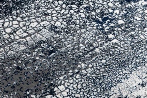 RUG/LU/WELLI/ABSTRACT4/CREAM+NAVY/120x170 na Arena.pl