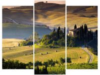 product-compare-58672407