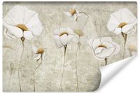 product-compare-54667980