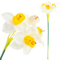 product-compare-63141979