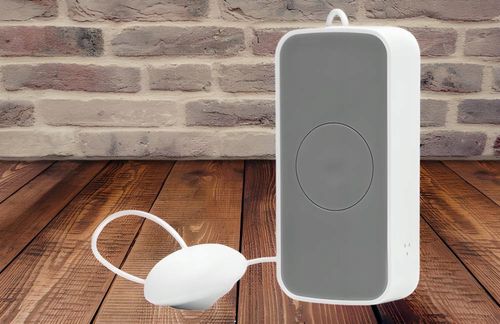 Czujnik zalania FERGUSON FS2WL ZigBee na Arena.pl