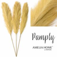 PAMPAS/AH/PAMPLY/HONEY/110CM/3PCS