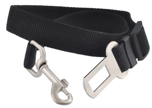 Pasy dla psa - smycz do samochodu na Arena.pl