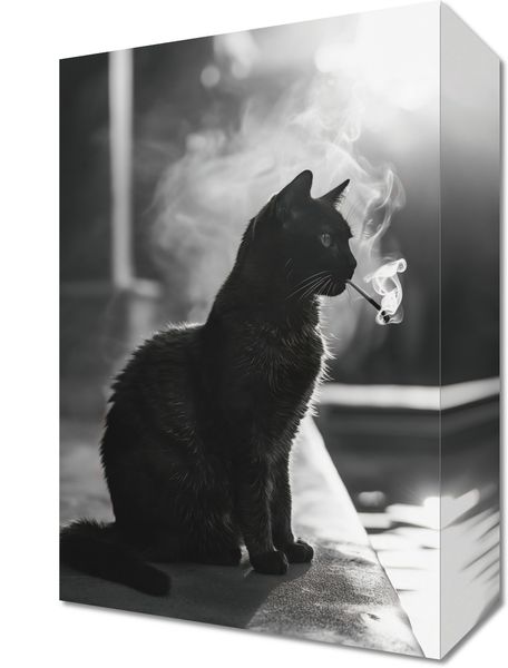 Obraz 20x30cm Kocia Przerwa zdjęcie 1