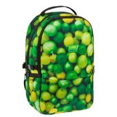 ND39_446574 I PLECAK STK LIME PB 1/12