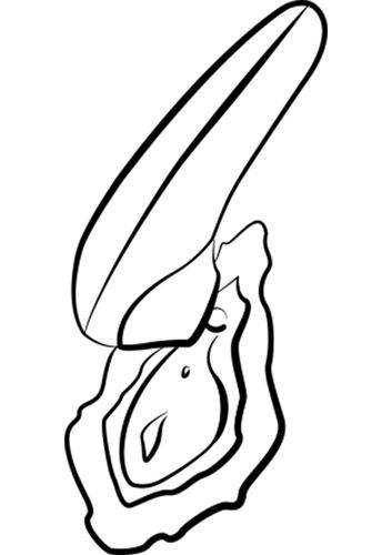 romp switch x - orange na Arena.pl