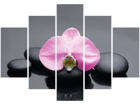 105CM 150CM OBRAZ 5 ELEM RÓŻOWY STORCZYK DRUK