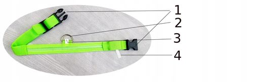 Obroża dla zwierząt PSÓW LED na USB Kabel ŻÓŁTA XL 52-60cm na Arena.pl