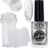 NTN Lakier Do Stempli 7ml Do Zdobienia Paznokci Nr 91