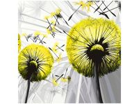 40CM 40CM OBRAZEK DMUCHAWCE ŻÓŁCI DRUK PŁÓTNO OBRAZ