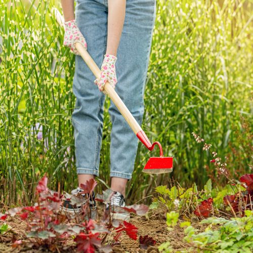 MOTYCZKA MOTYKA OGRODOWA KUTA TRZONEK 10 cm na Arena.pl
