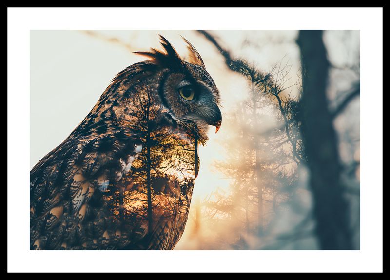 Plakat 45x30cm Sowi Duch zdjęcie 3