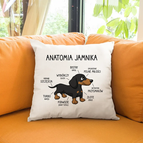 Anatomia jamnika - poduszka na prezent na Arena.pl