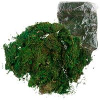Mech Sztuczny 1Kg Sypki Dekoracyjny Do Stroików Zielony Trwały