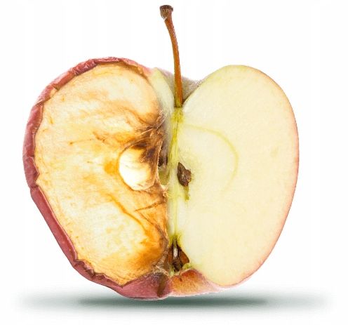 BLENDER KIELICHOWY PRÓŻNIOWY KUVINGS KV200 SREBRNY zdjęcie 16