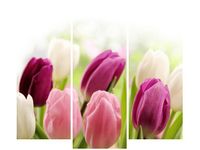 90 80CM OBRAZ T3 ELEM SOCZYSTE TULIPANY DRUK ŚCIENNY