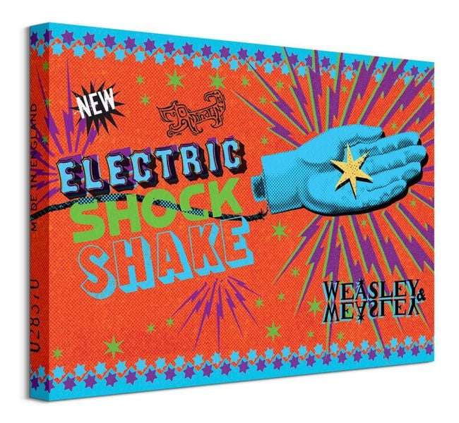Harry Potter Electric Shock Shake - obraz na płótnie 40x30 cm zdjęcie 1
