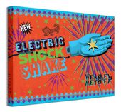 Harry Potter Electric Shock Shake - obraz na płótnie 40x30 cm