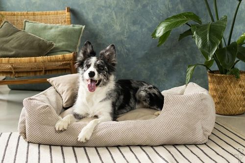 Legowisko kanapa Premium posłanie dla psa sofa kojec 100x70 cm na Arena.pl
