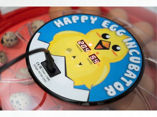 INKUBATOR AUTOMATYCZNY klujnik wylęgarka na 30 jaj na Arena.pl