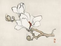 Plakat 20x15cm Magnolia, Kōno Bairei Japoński Vintage do Salonu