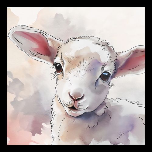 Plakat 30x30cm Mała Owieczka na Arena.pl