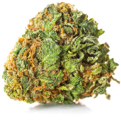 CBD SUSZ KONOPNY GORILLA GOLD PREMIUM PRODUKT NATURALNY 1 g na Arena.pl