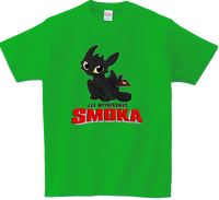 Koszulka T-shirt Jak wytresować Smoka