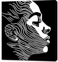 product-compare-59505082