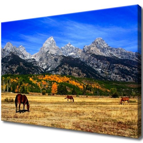 70X50 Obraz Na Płótnie Do Salonu na Arena.pl