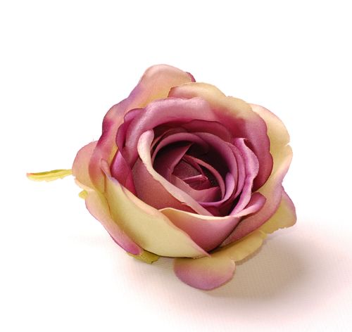 Róża główka violet green na Arena.pl