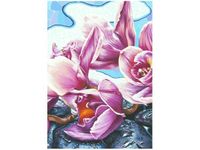 product-compare-58653662