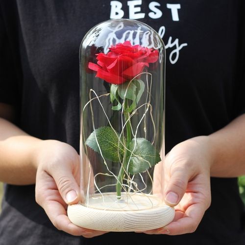 Ozdobna Róża W pojemniku - Doskonały prezent na Arena.pl