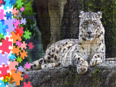 Puzzle tradycyjne Zwierzęta - Lampart