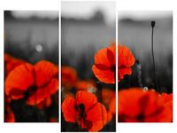 60 90CM OBRAZ 3 ELEM SIAŁA BABA MAK JENNY DOWNING ŚCIENNY DRUK PŁÓTNO