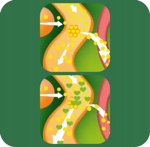 Danacol Plus w żelu na obniżenie cholestereolu smak cytrusowy 3x21 saszetek na Arena.pl