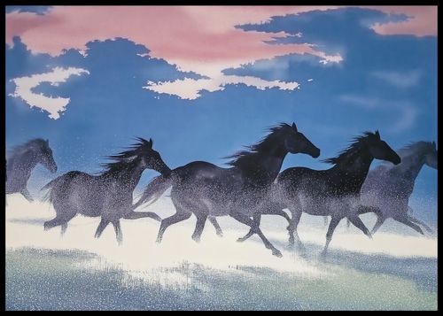 Plakat 84,1x59,4cm Wolność i Swoboda na Arena.pl