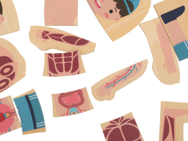 Puzzle drewniane warstwowe budowa ciała montessori chłopiec zdjęcie 4