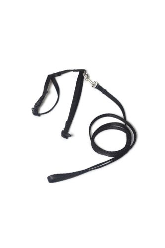 A-059 KOMPLET DLA KOTA V.2 Kolor - Niebieski na Arena.pl