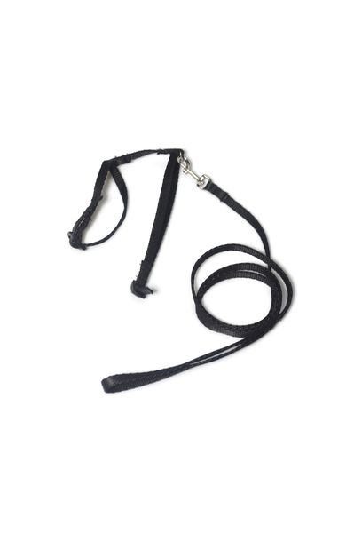 A-059 KOMPLET DLA KOTA V.2 Kolor - Niebieski zdjęcie 3