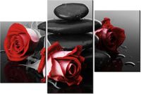 product-compare-58699994