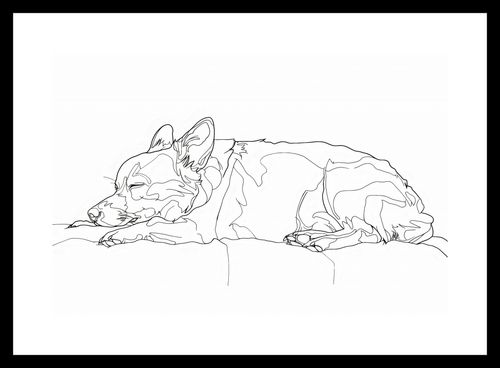 Plakat 30x20cm Śpiący Psiak na Arena.pl