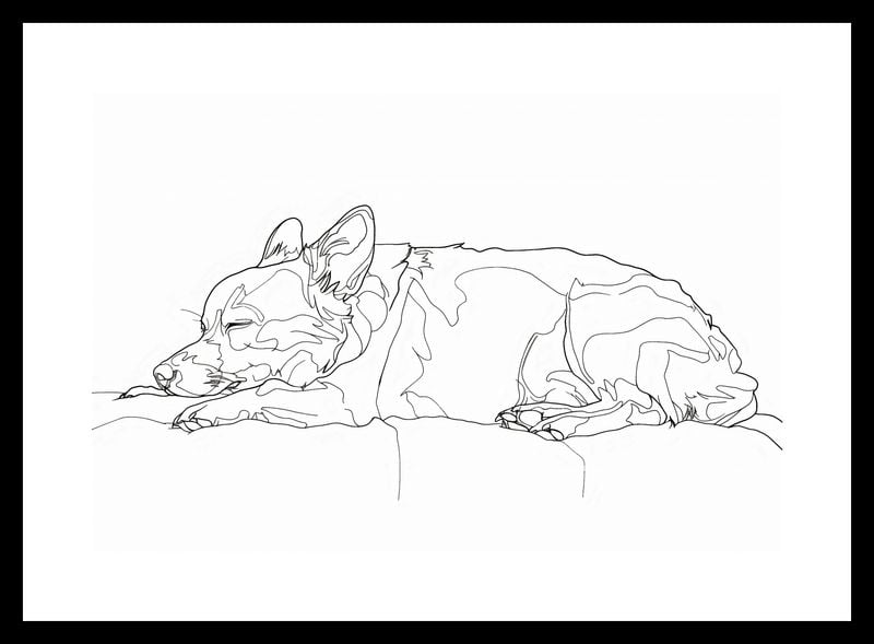 Plakat 30x20cm Śpiący Psiak zdjęcie 3