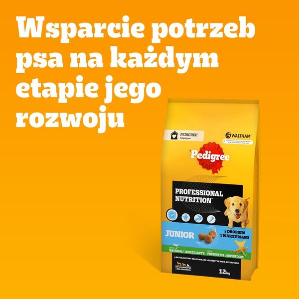 Pedigree Junior Professional Nutrition drób 12 kg zdjęcie 10