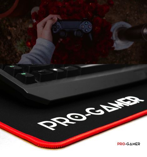 falcon sz na Arena.pl