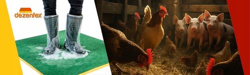 MATA DEZYNFEKCYJNA 50X60X3CM EKO_PLUS + GRATIS! na Arena.pl